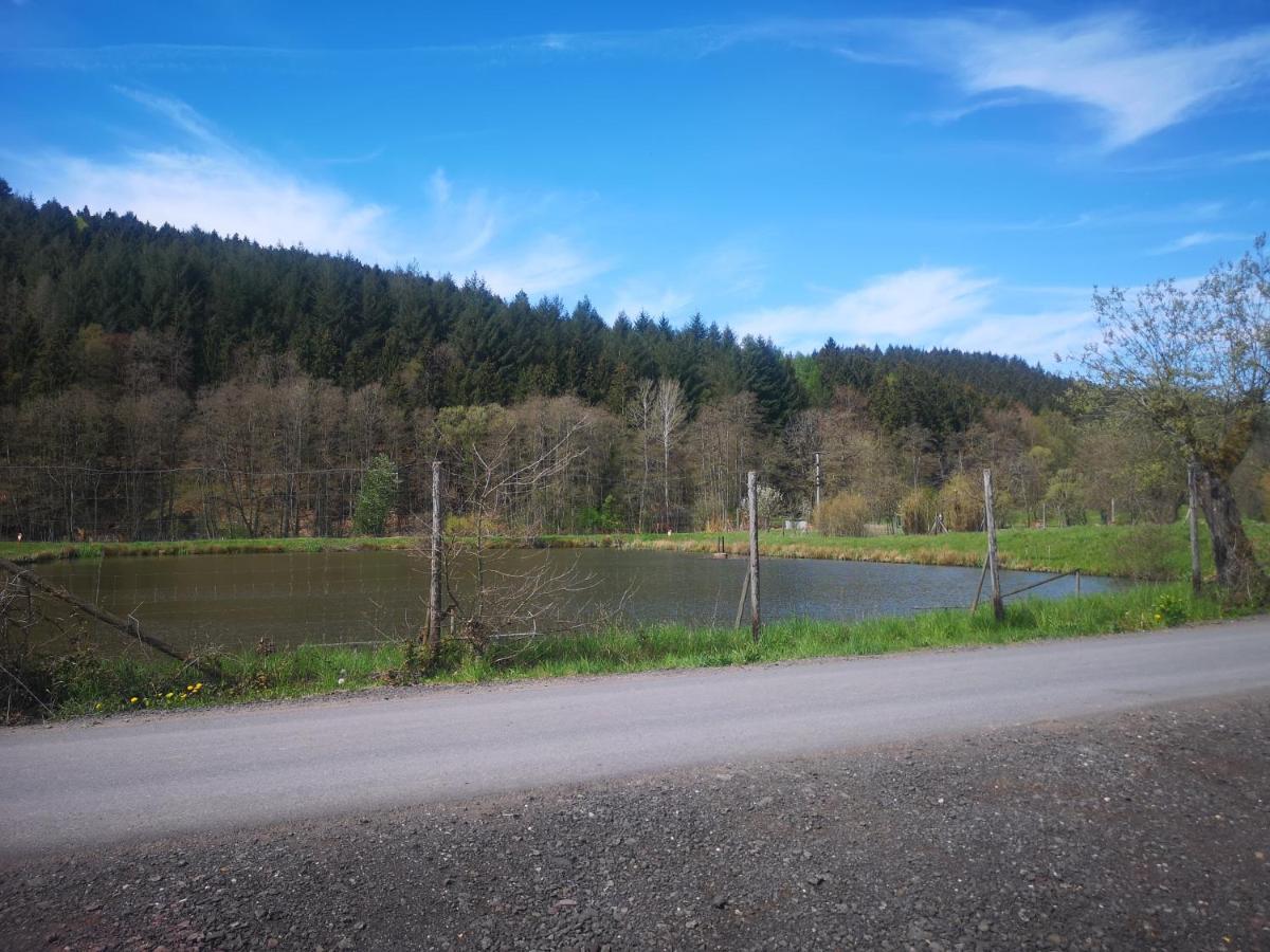 Ferienhaus Salmtal Himmerod Großlittgen 外观 照片