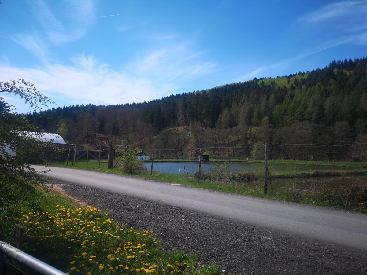 Ferienhaus Salmtal Himmerod Großlittgen 外观 照片