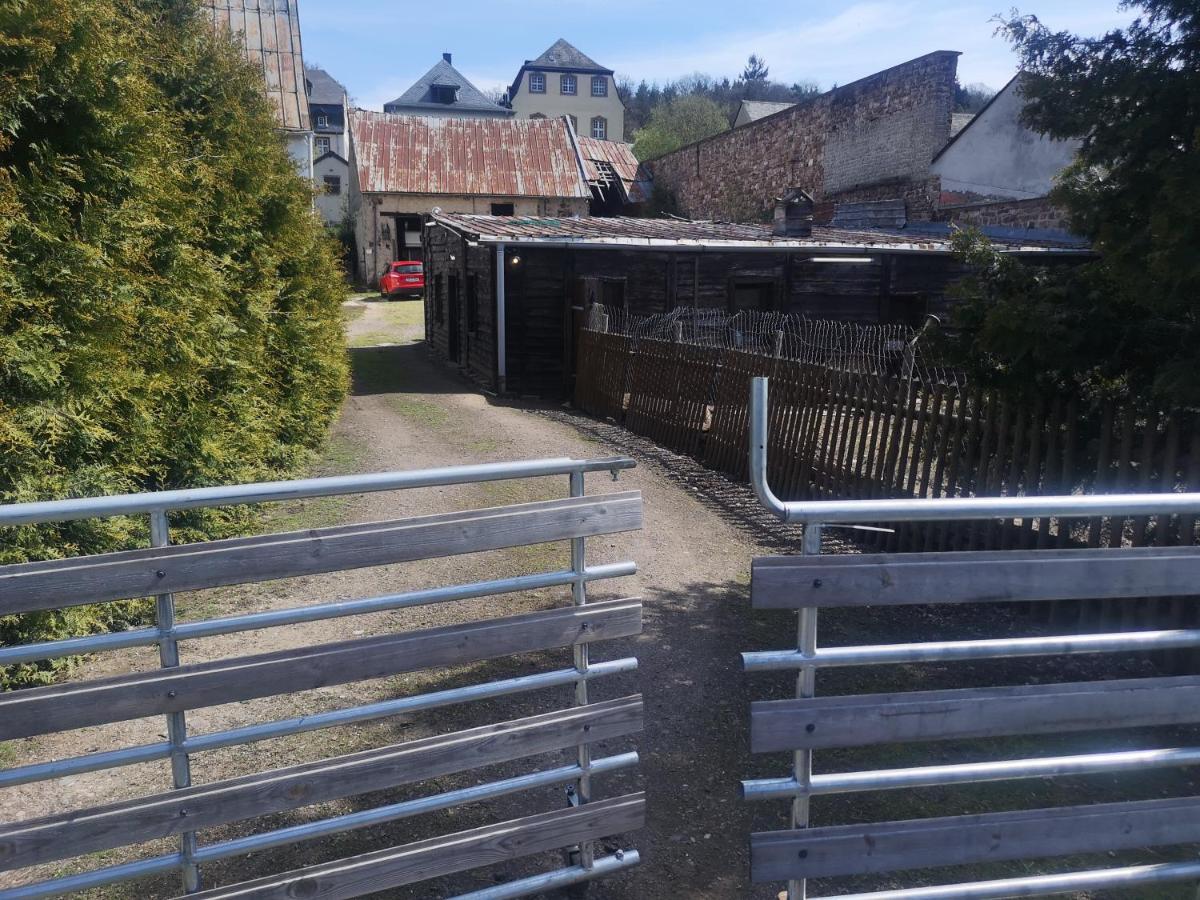 Ferienhaus Salmtal Himmerod Großlittgen 外观 照片