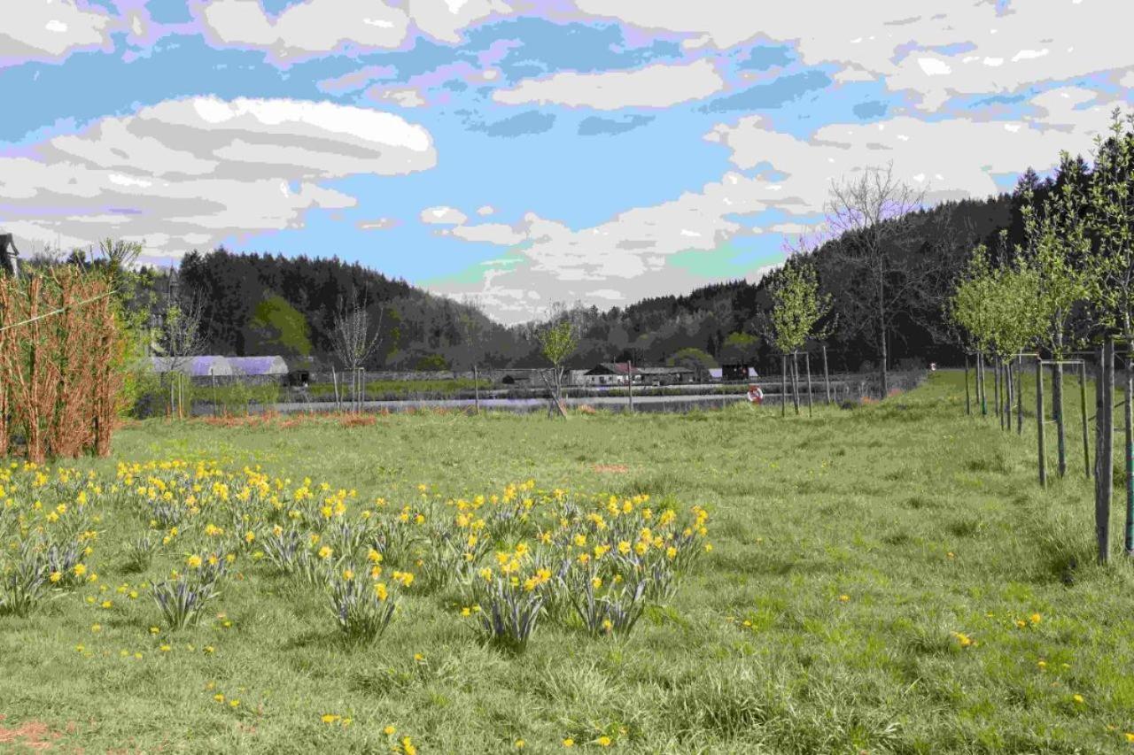 Ferienhaus Salmtal Himmerod Großlittgen 外观 照片