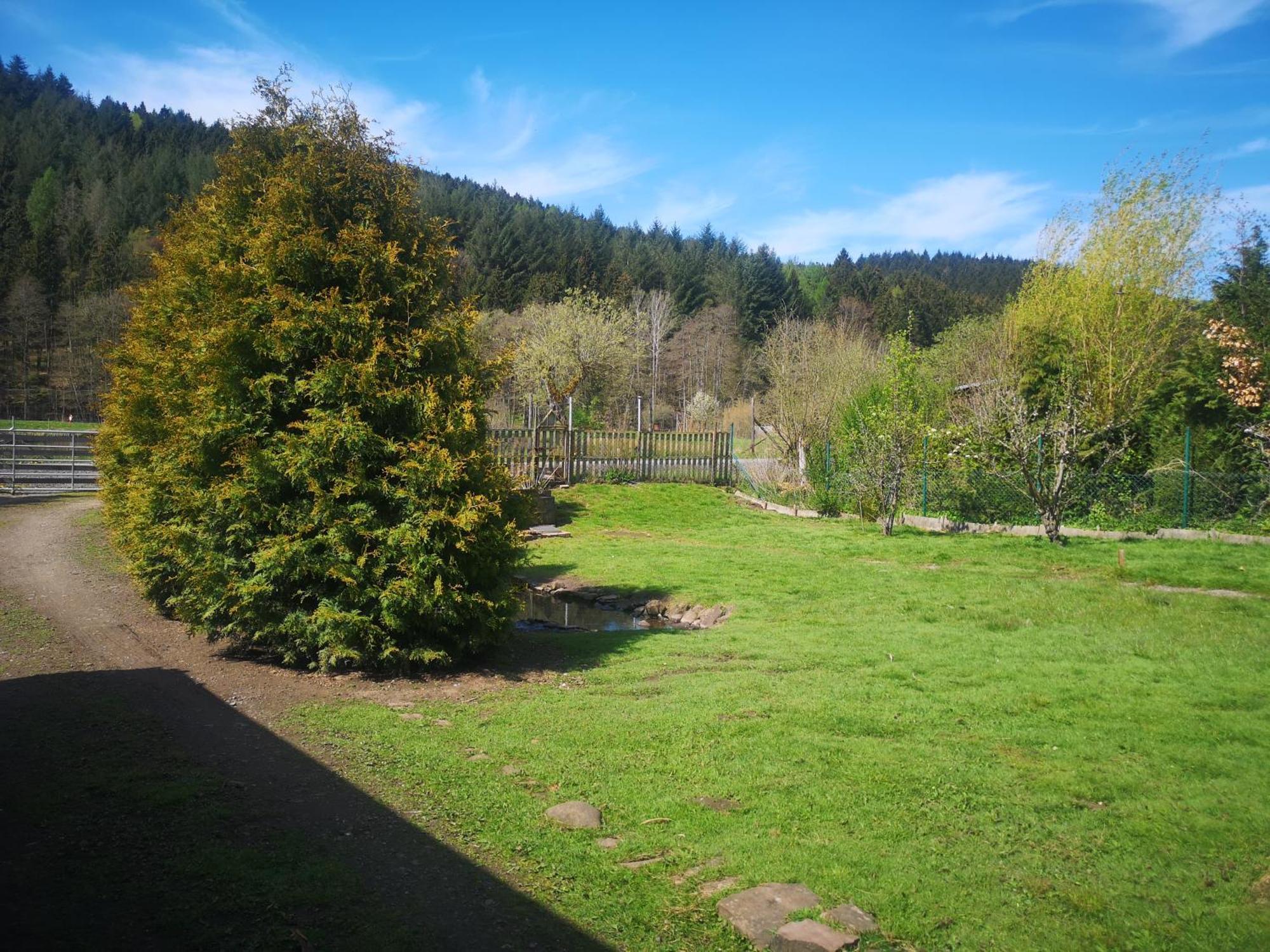 Ferienhaus Salmtal Himmerod Großlittgen 外观 照片