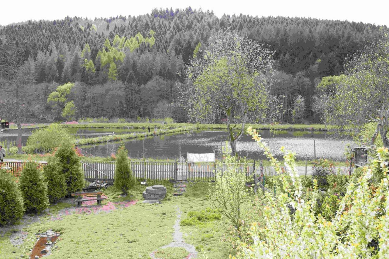 Ferienhaus Salmtal Himmerod Großlittgen 外观 照片