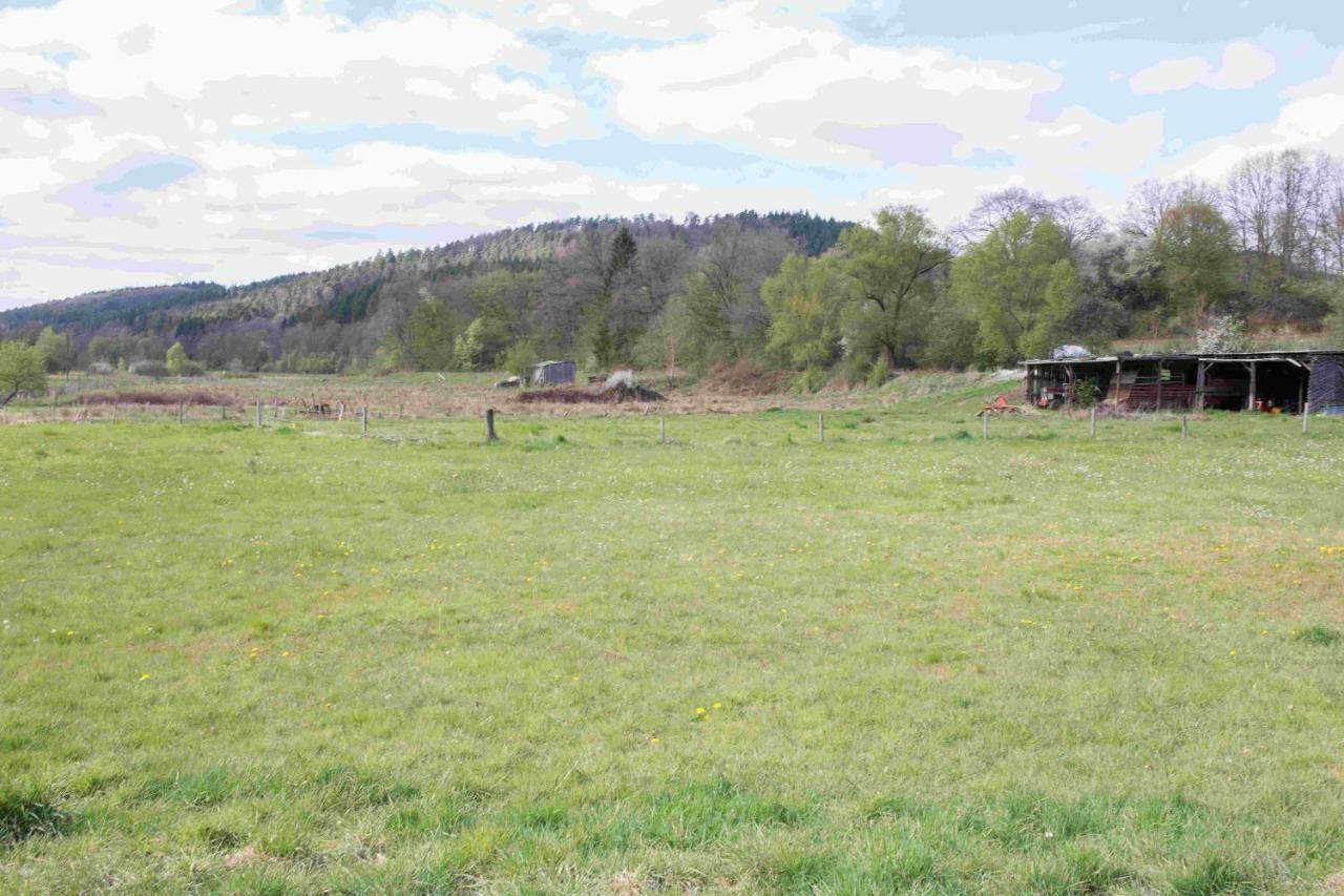 Ferienhaus Salmtal Himmerod Großlittgen 外观 照片